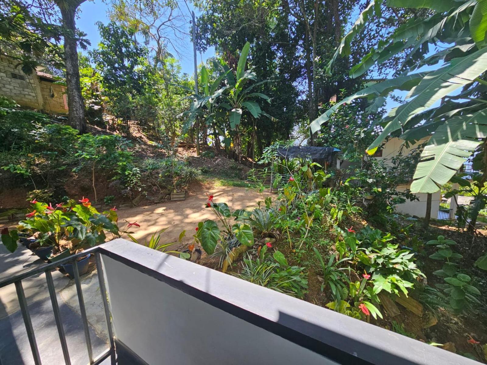 Enthral View Homestay Ella Ngoại thất bức ảnh